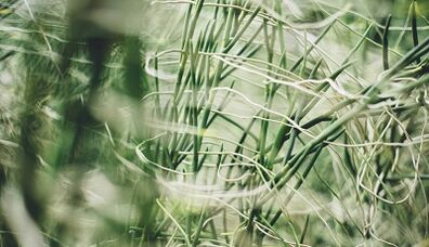 How to make a good luck amulet with your own hands