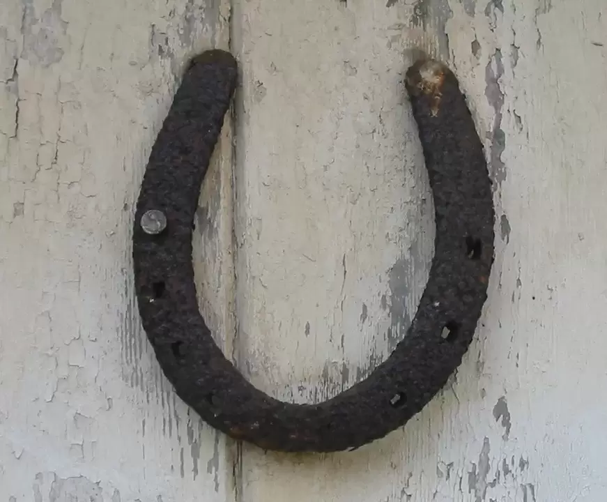 good luck amulet - horseshoe