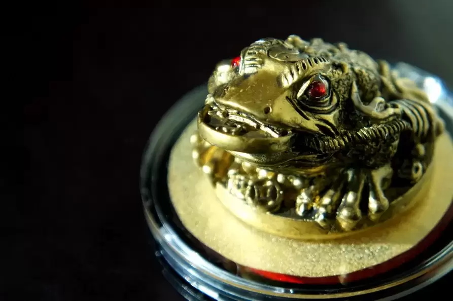 good luck amulet - three-legged toad